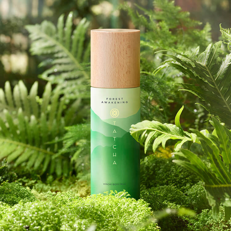 Body Lotion