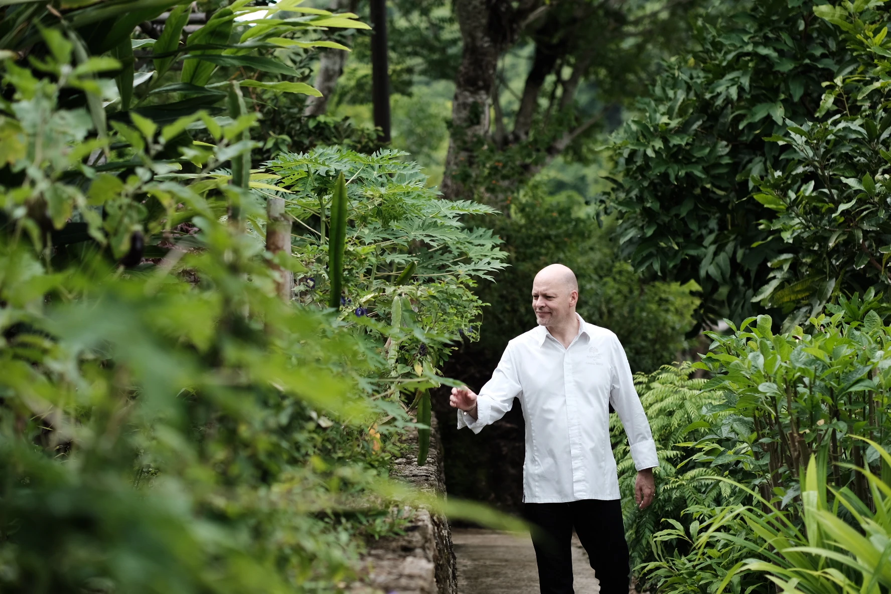 Chef Gaetan Biesuz picking herbs from Raffles Bali's garden.