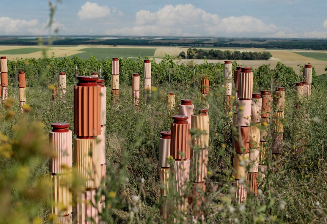 Formafantasma designers on creating a nature refuge in Champagne