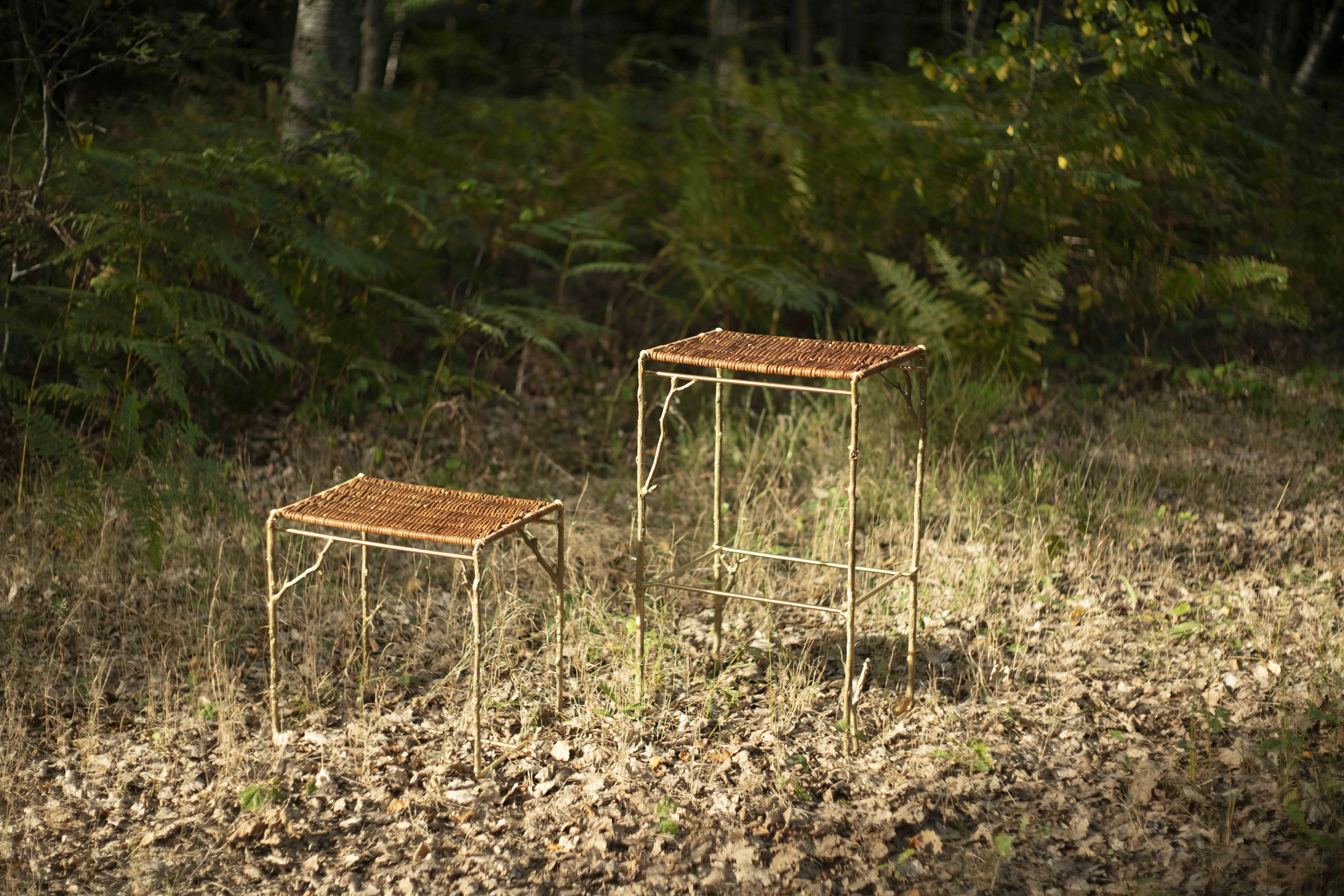 Design shoot: Rooted