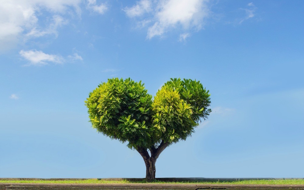 Earth Day is celebrated all over the world in more than 190 countries 