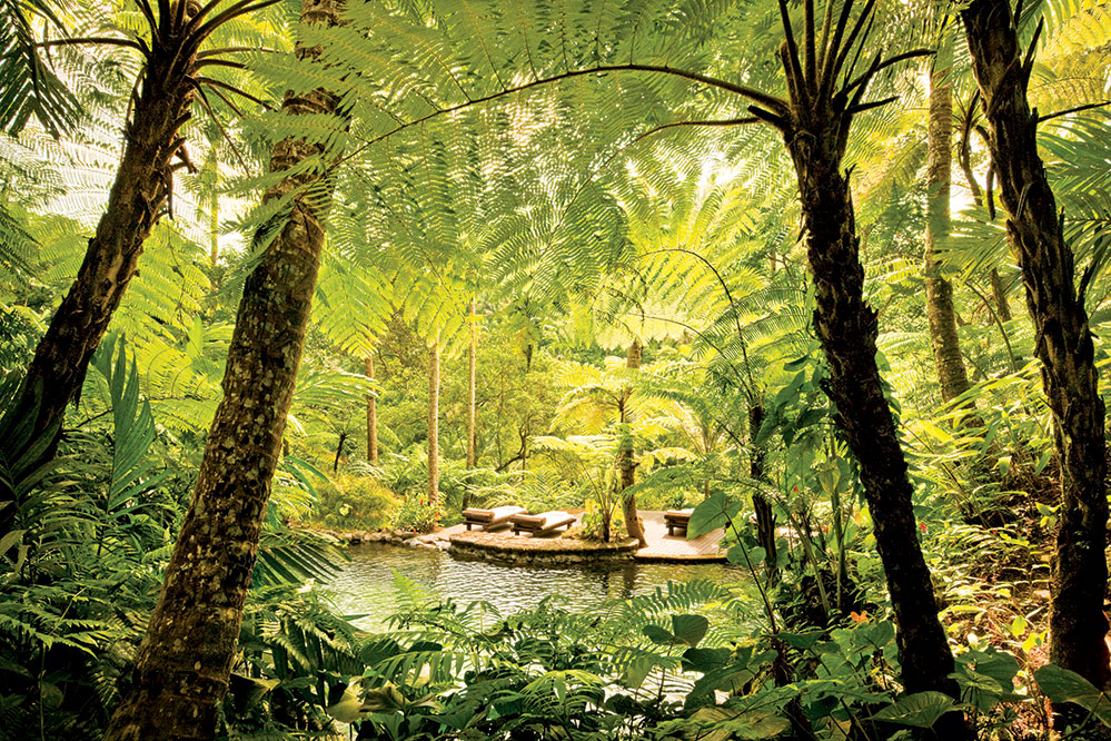 The Como Shambhala Estate is a luscious hideaway set in a tropical forest