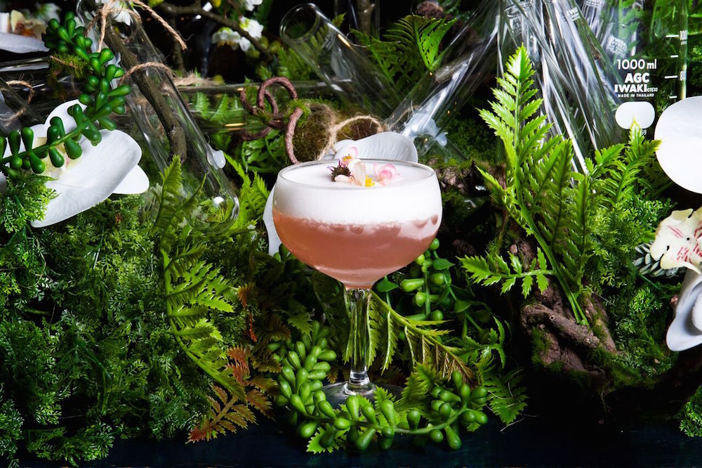Dr. Fern's Gin Parlour's Dr Her