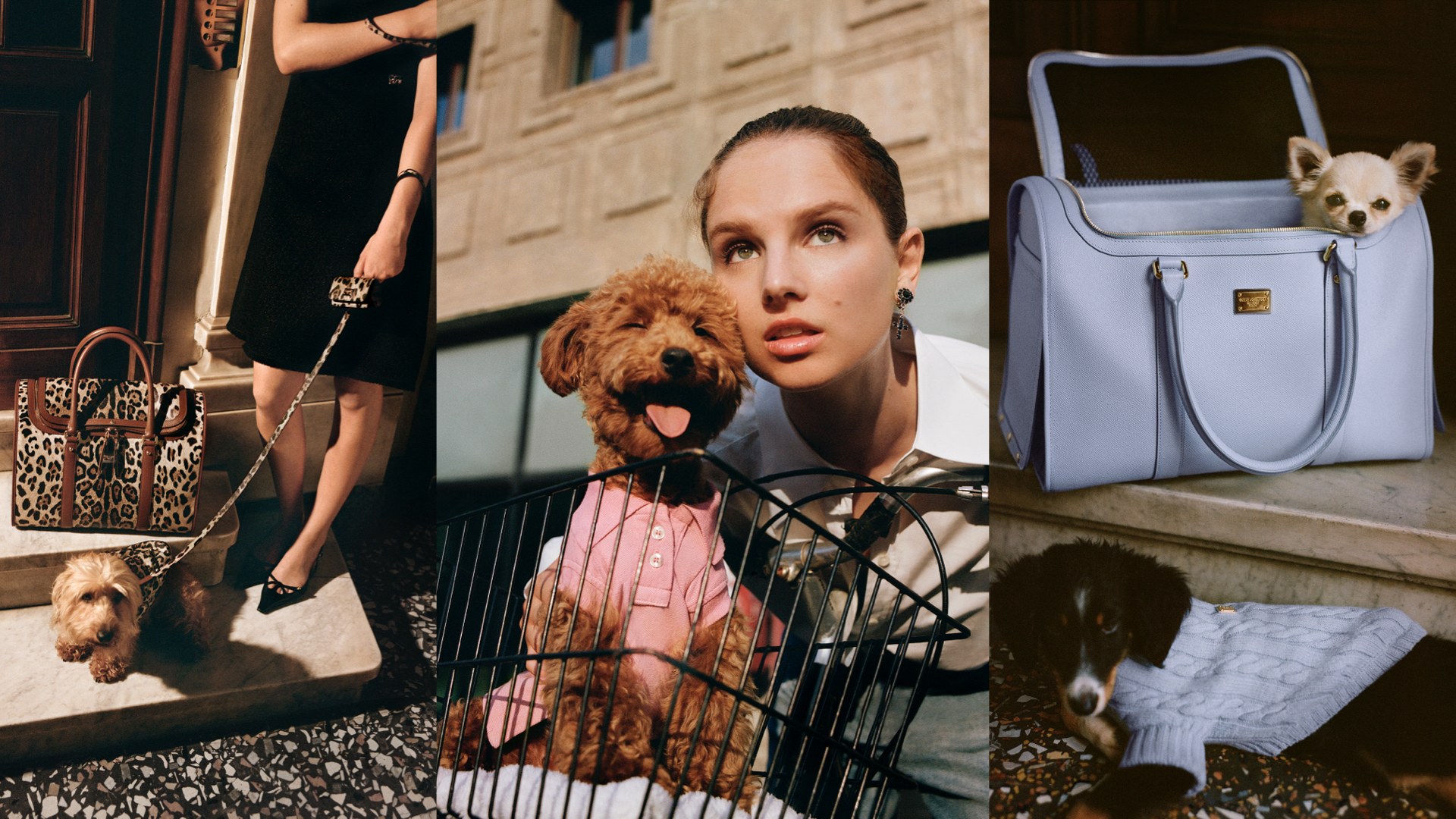 Dolce & Gabbana indulges pet lovers with new collection for pets  