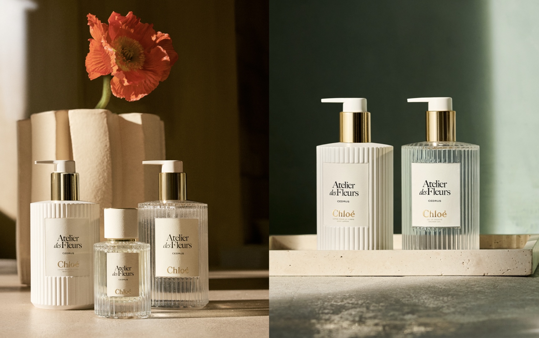 Cedrus Intense by Chloé