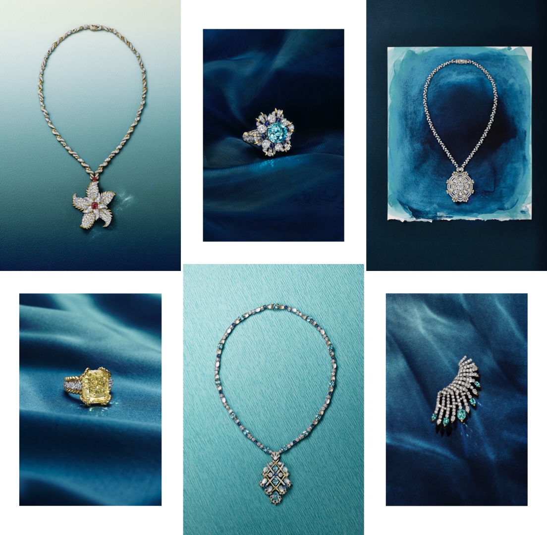 Blue Book 2025: Sea of Wonder