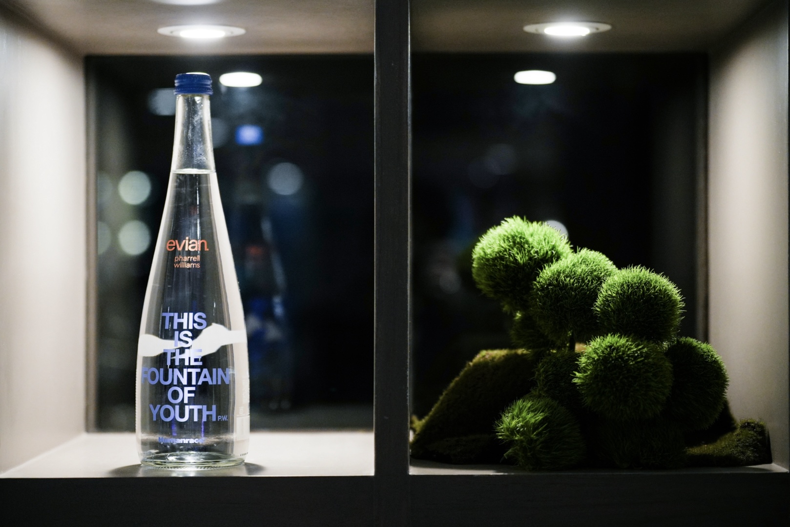 The Fountain of Youth by evian